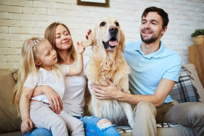 La vida es mejor con un perro